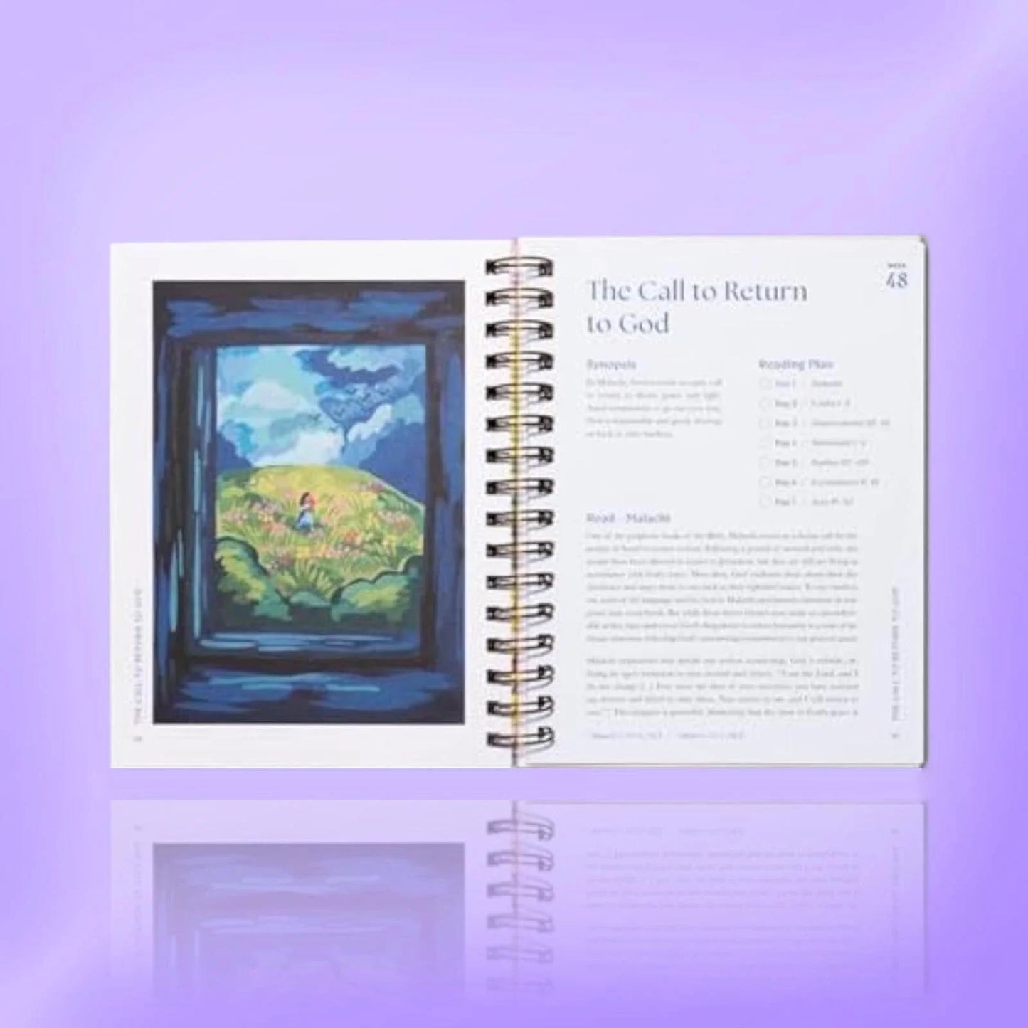 A Beautiful Year in the Bible: the 52-Week for Women (Spiral Bound)