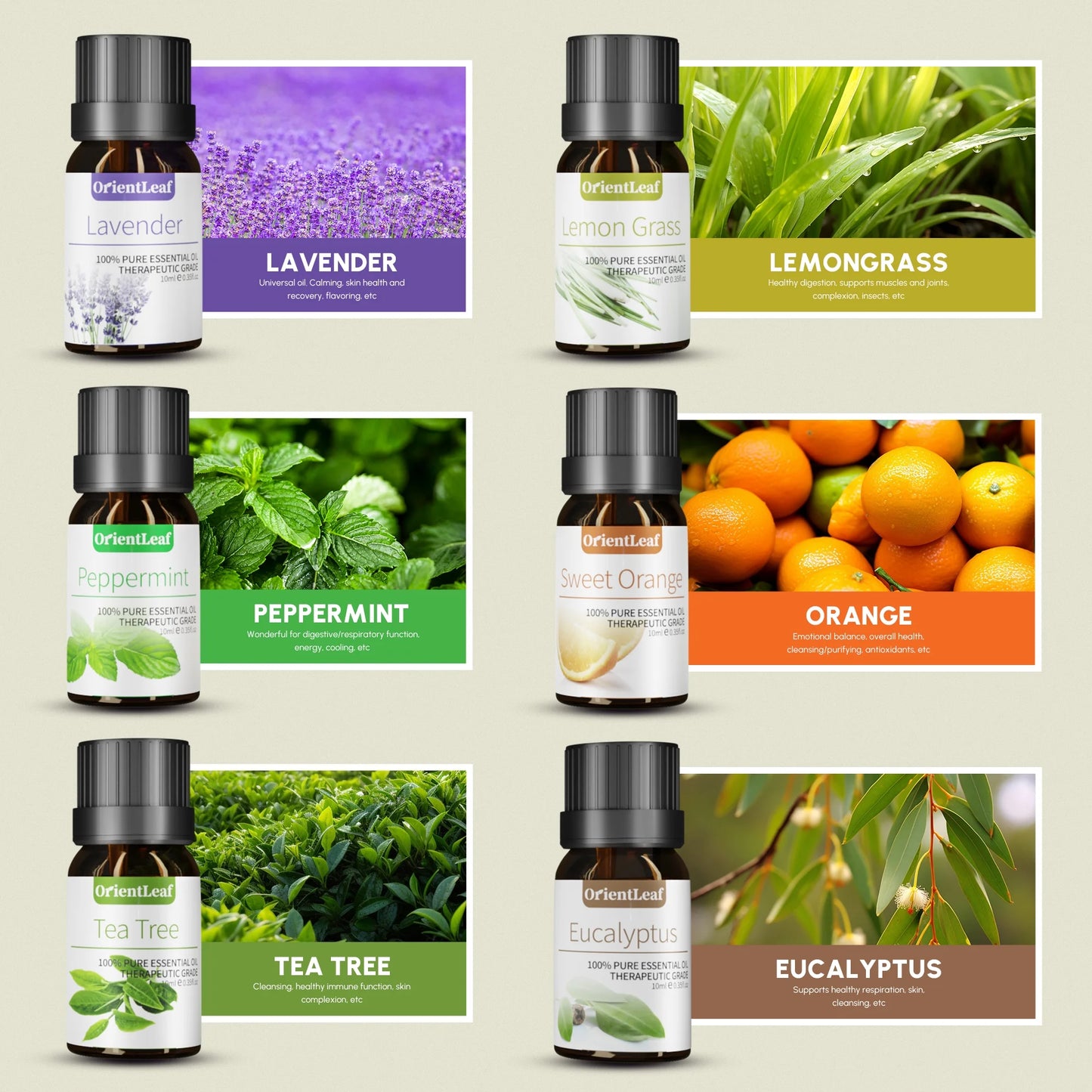 Essential Oils 6 Pcs Health Pure Aroma Oils Set for Spa Massager & Diffuser, Women'S Day Gift (Sweet Orange, Lavender, Tea Tree, Lemongrass, Peppermint, Eucalyptus)