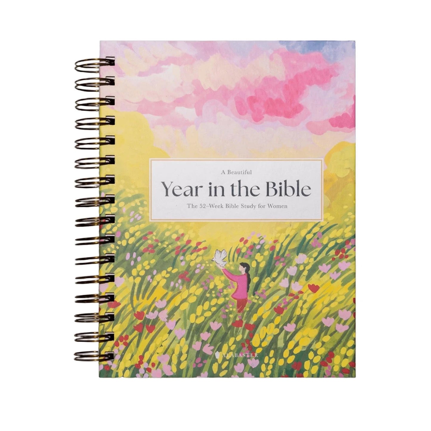 A Beautiful Year in the Bible: the 52-Week for Women (Spiral Bound)