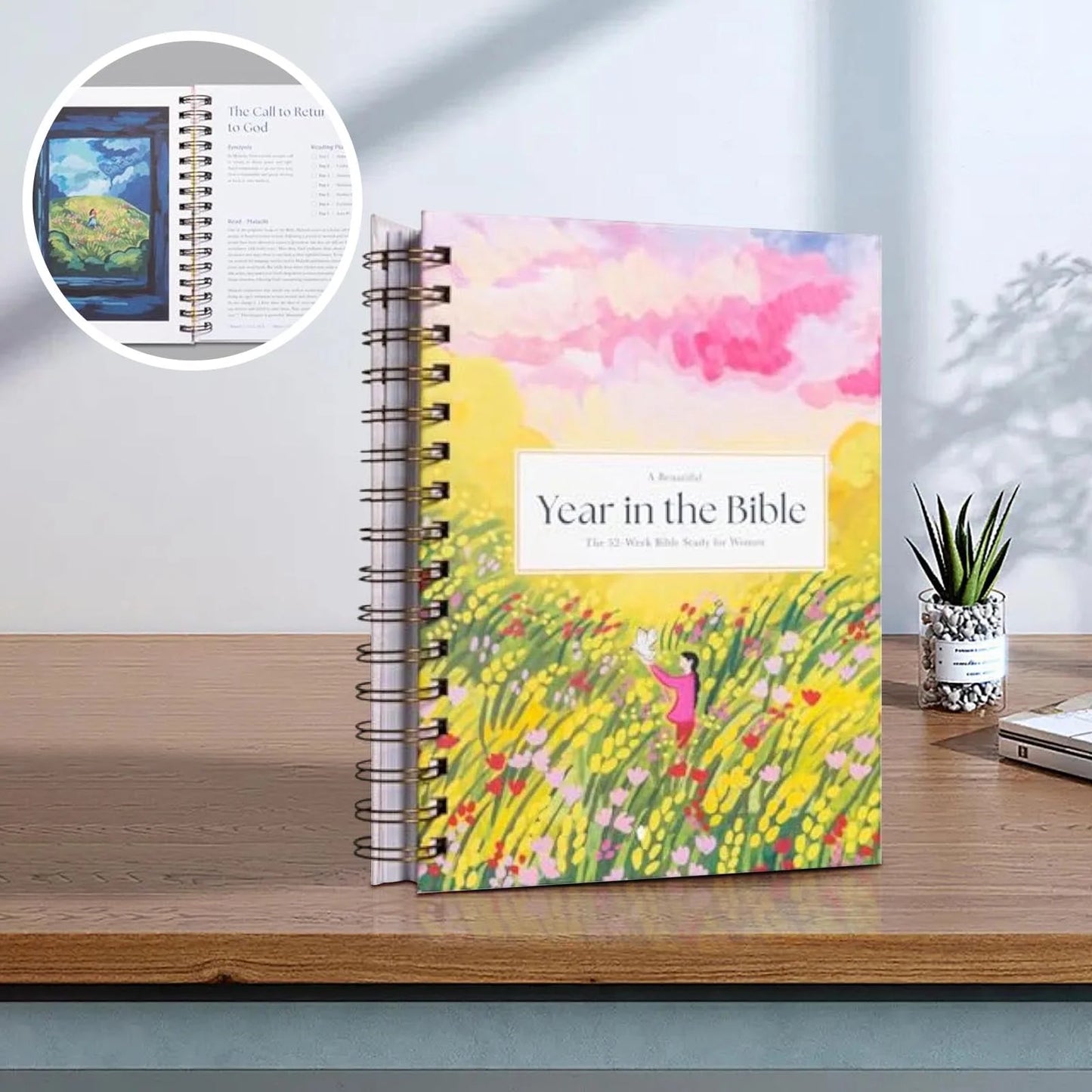A Beautiful Year in the Bible: the 52-Week for Women (Spiral Bound)