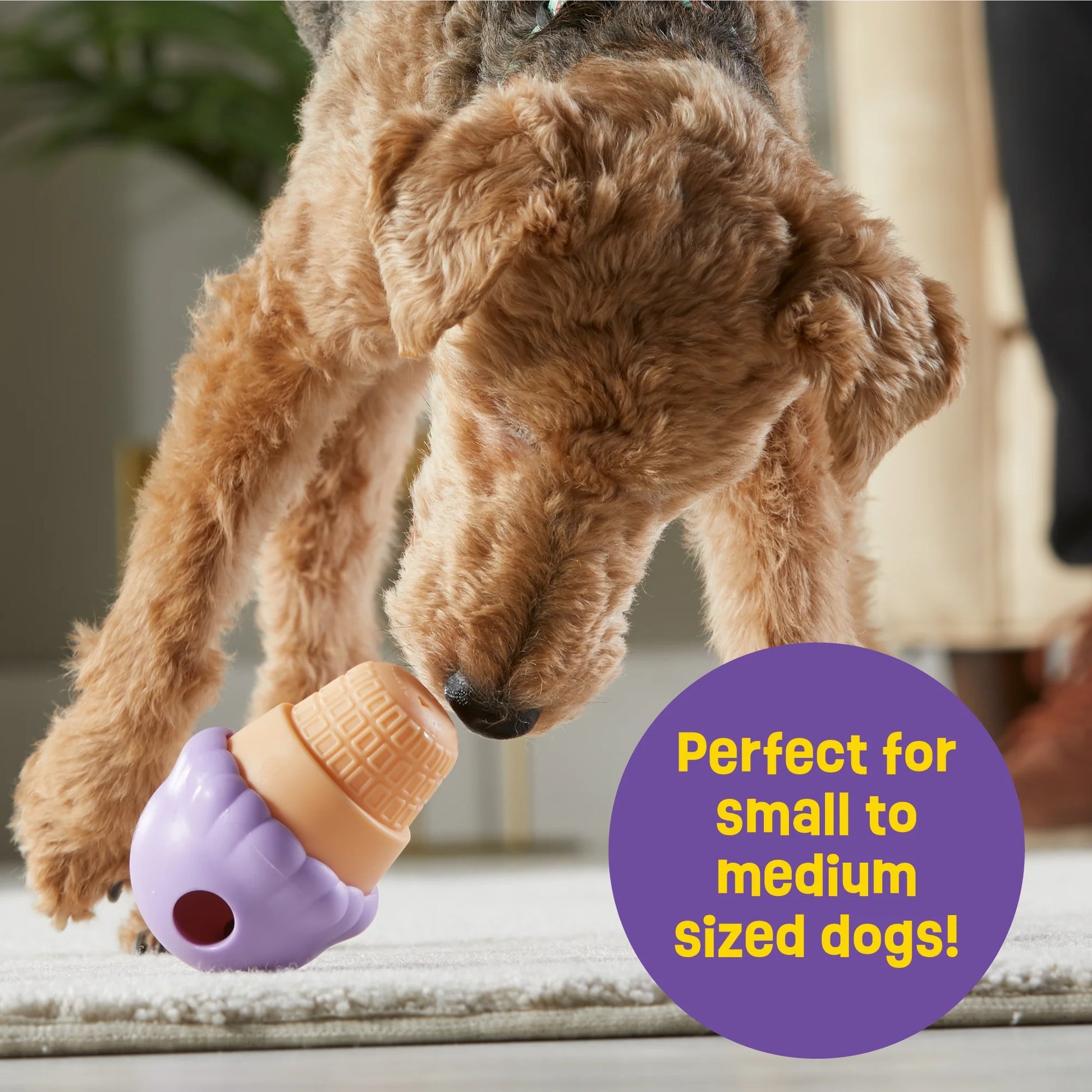 Ice Cream Dog Toy Treat Dispenser, Playful Training for Small & Medium Dogs to Chew